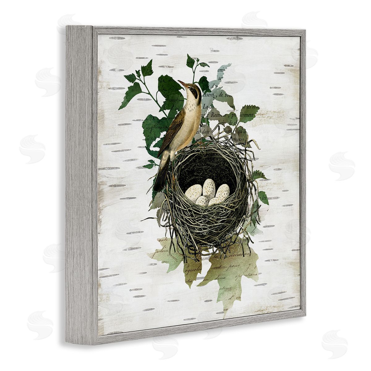 Vintage Bird Nest & Flora Grey Frame Print Wall Art, Home Decor by Susan Arnot