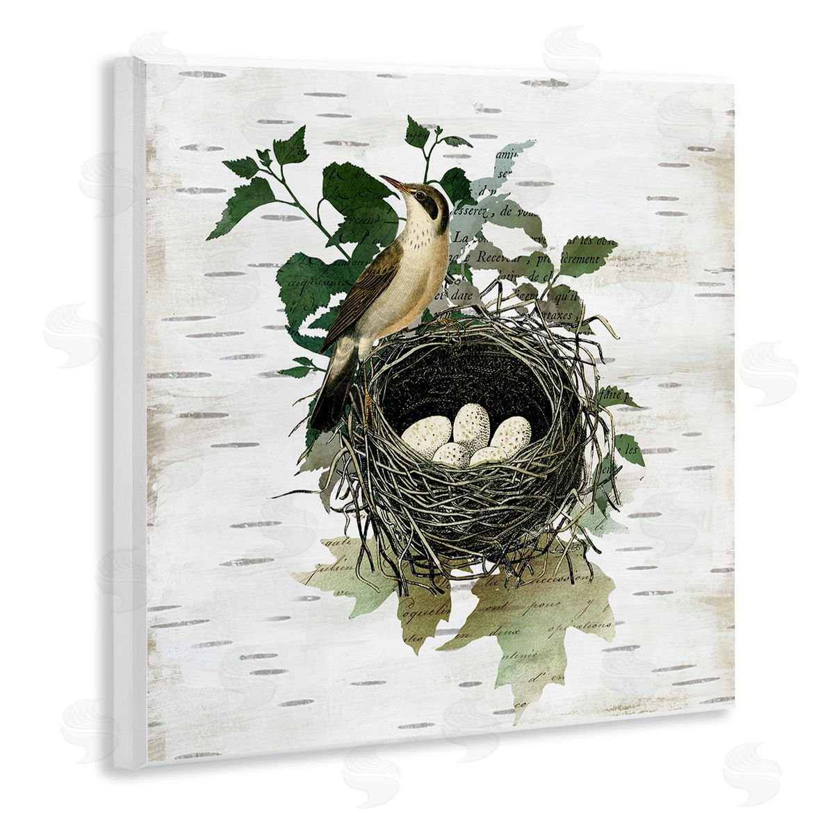 Vintage Bird Nest & Flora Wood Plaque Wall Art, Home Decor by Susan Arnot