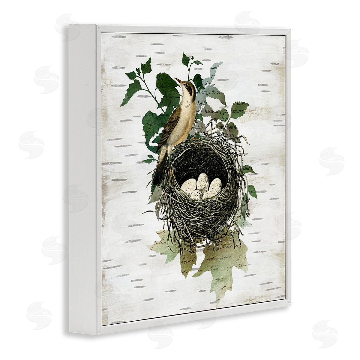 Vintage Bird Nest & Flora White Frame Print Wall Art, Home Decor by Susan Arnot