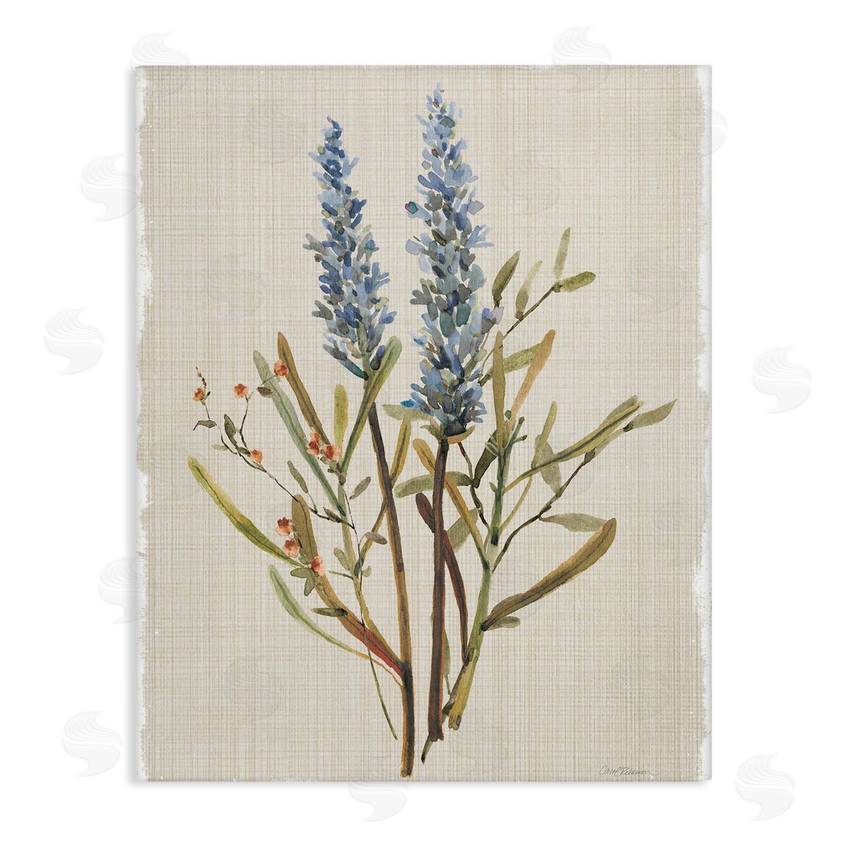 Natural Lavender Sprigs Canvas Wall Art, Home Decor by Carol Robinson
