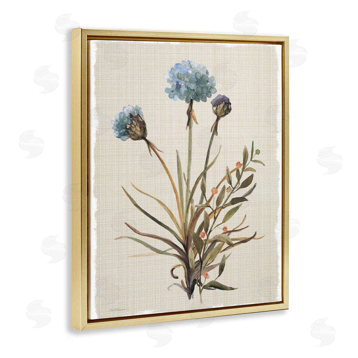 Natural Hydrangea Buds Gold Floating Frame Canvas Wall Art, Home Decor by Carol Robinson
