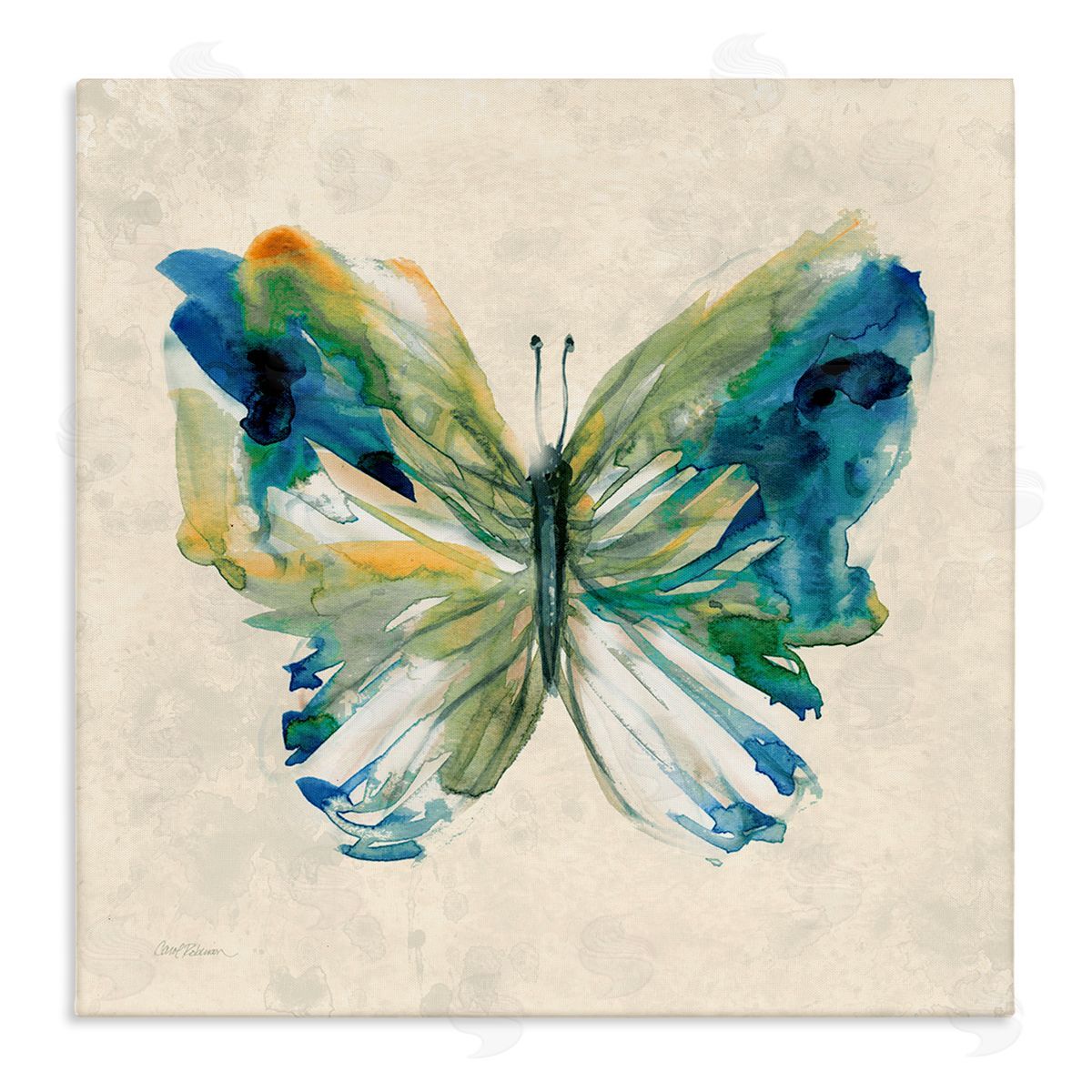 Vivid Abstract Butterfly Wings Canvas Wall Art, Home Decor by Carol Robinson