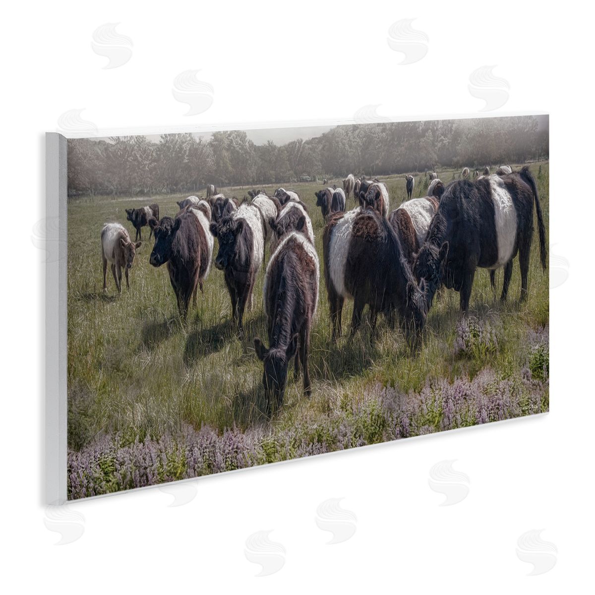 Black Cows Grazing in Pasture Wood Plaque Wall Art, Home Decor by Robin-Lee Viera