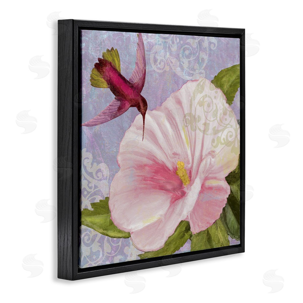 Hummingbird with White Flower Black Floating Frame Canvas Wall Art, Home Decor by Sasha