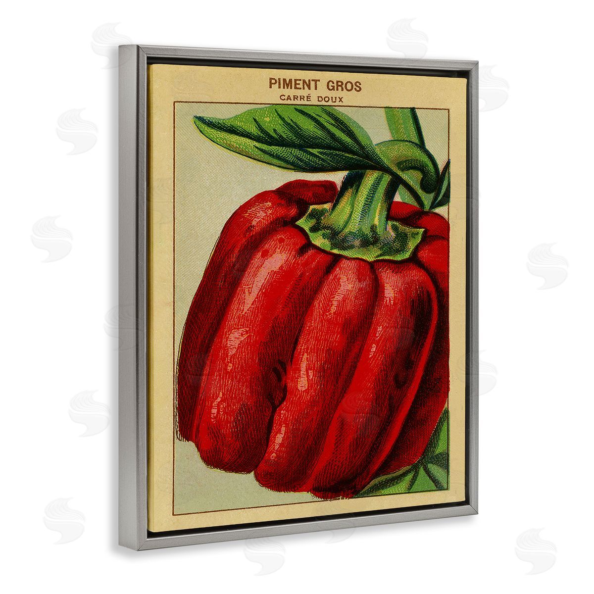 Country Vintage Pepper Grey Floating Frame Canvas Wall Art, Home Decor by Stupell Studio