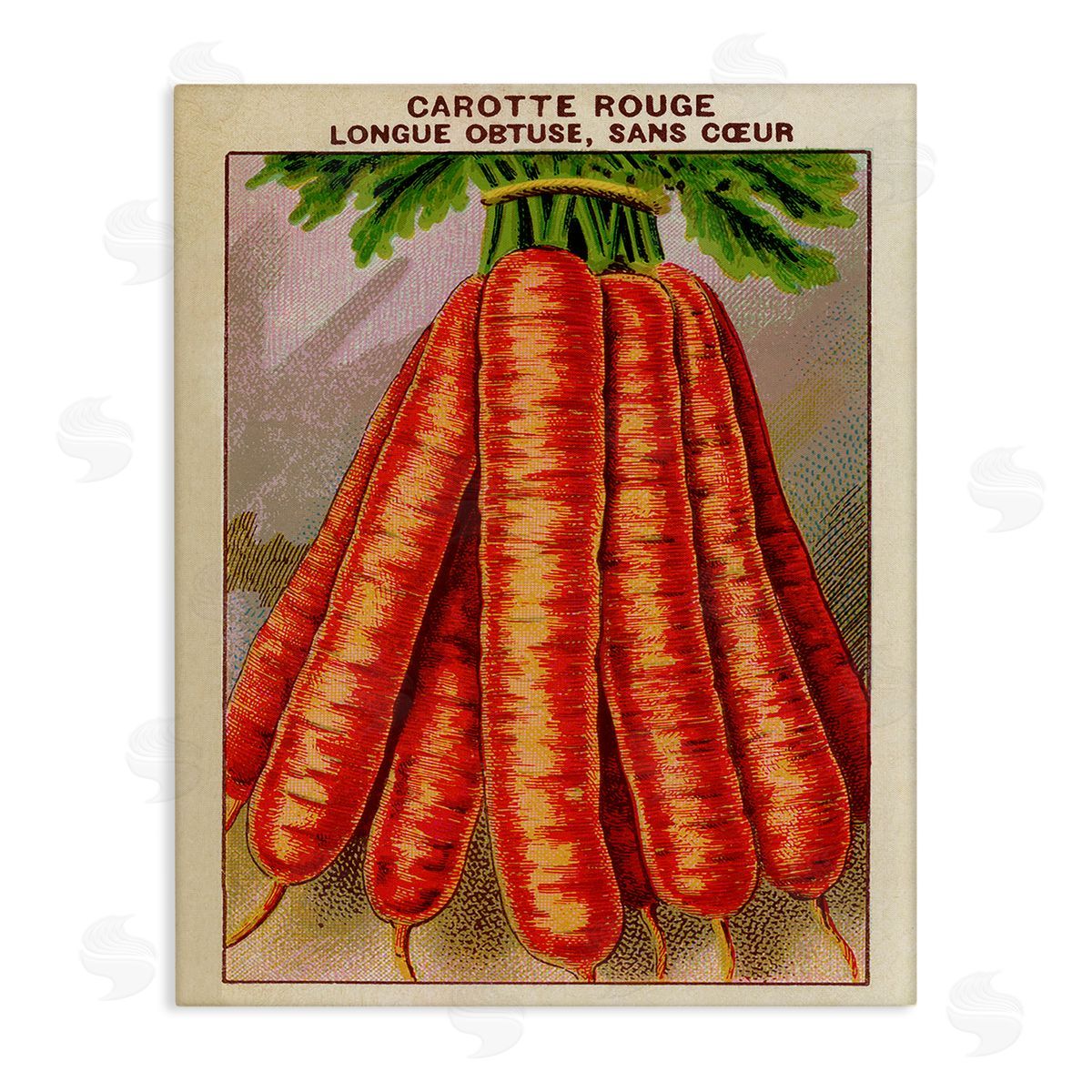 Country Vintage Carrots Canvas Wall Art, Home Decor by Stupell Studio