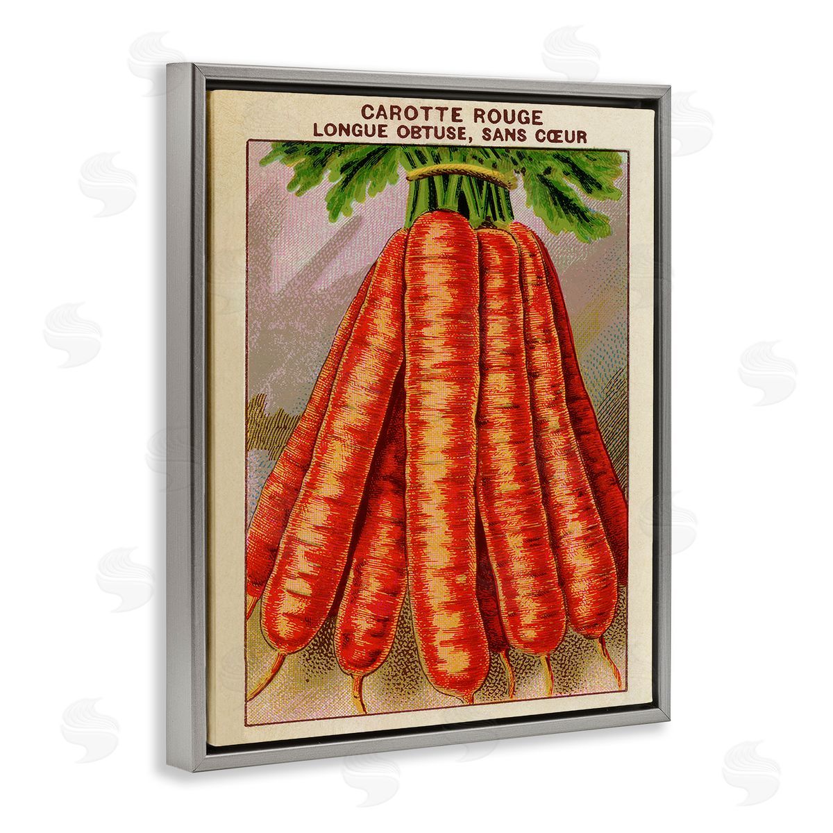 Country Vintage Carrots Grey Floating Frame Canvas Wall Art, Home Decor by Stupell Studio