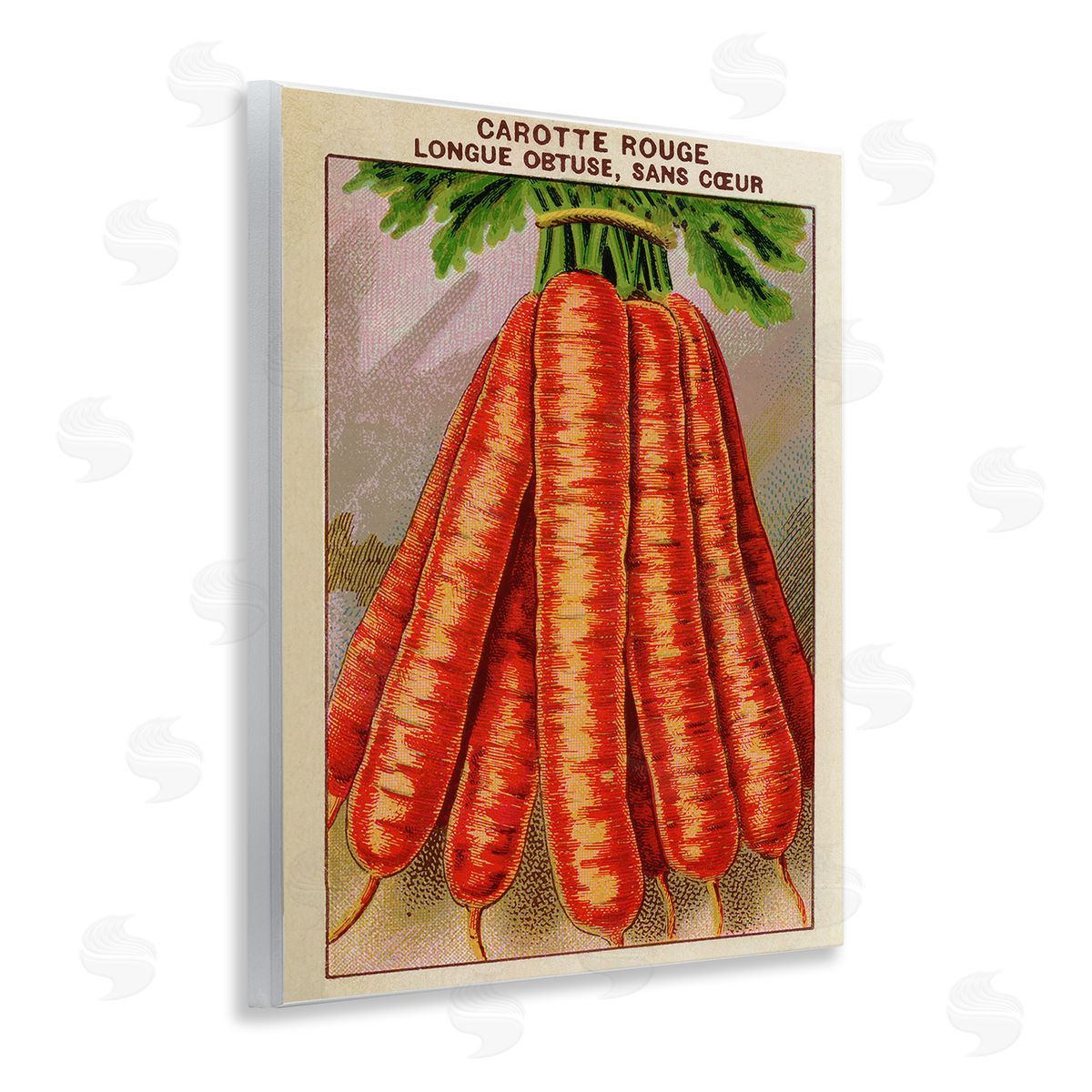 Country Vintage Carrots Wood Plaque Wall Art, Home Decor by Stupell Studio