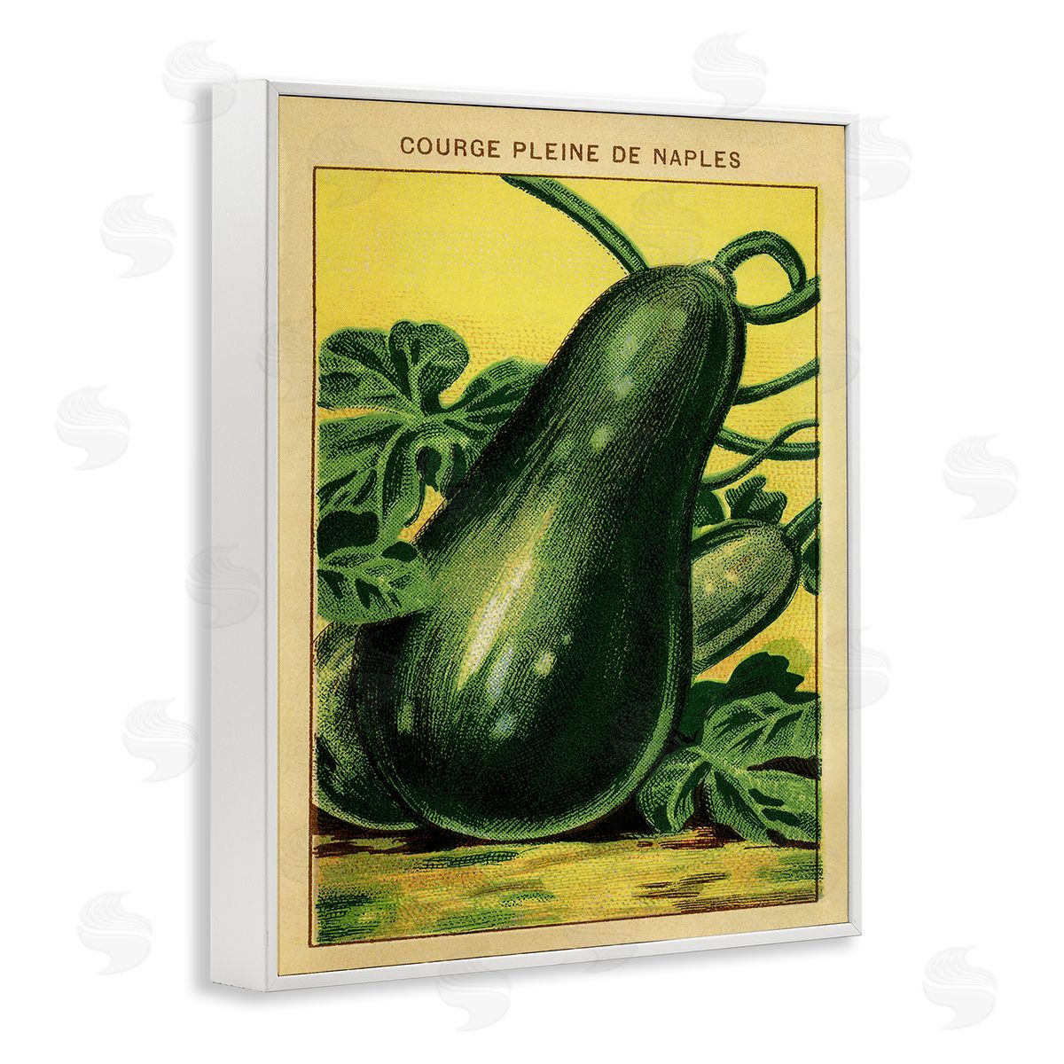Country Vintage Squash White Frame Print Wall Art, Home Decor by Stupell Studio