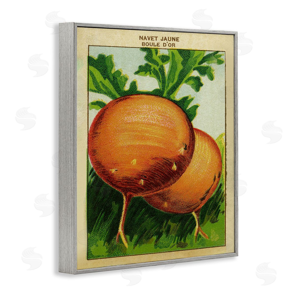Country Vintage Onions Grey Frame Print Wall Art, Home Decor by Stupell Studio