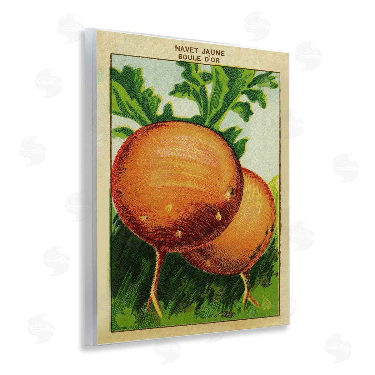 Country Vintage Onions Wood Plaque Wall Art, Home Decor by Stupell Studio