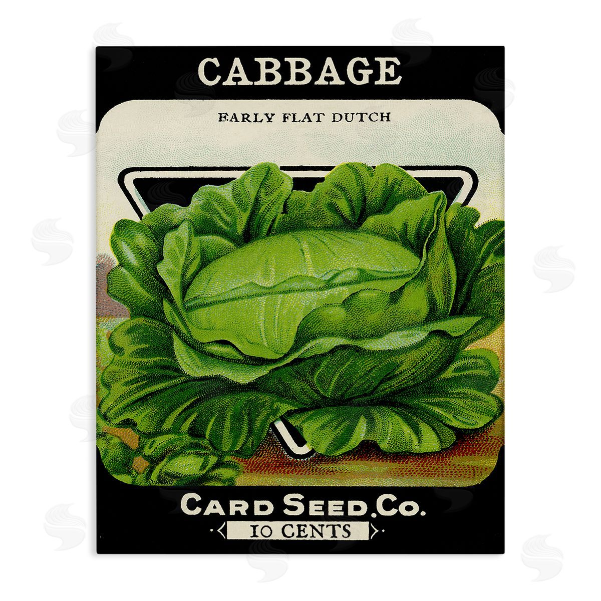 Vintage Garden Cabbage Canvas Wall Art, Home Decor by Stupell Studio
