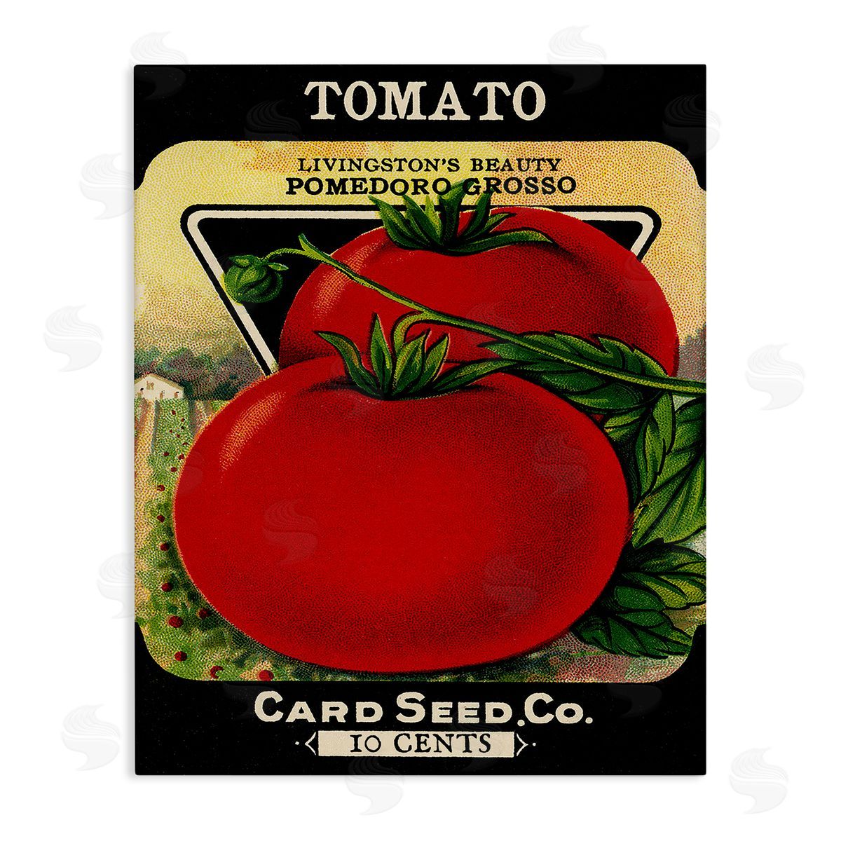 Vintage Garden Tomato Canvas Wall Art, Home Decor by Stupell Studio