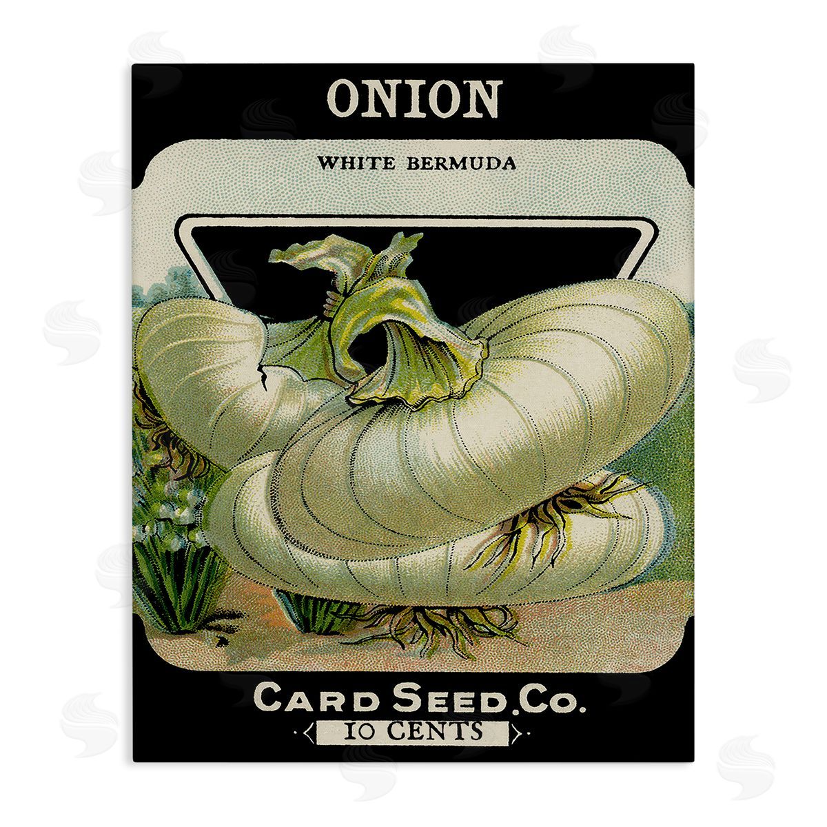 Vintage Garden Onion Canvas Wall Art, Home Decor by Stupell Studio