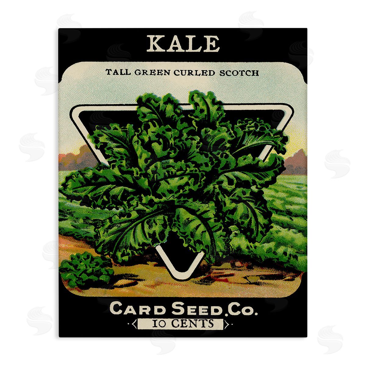 Vintage Garden Kale Canvas Wall Art, Home Decor by Stupell Studio