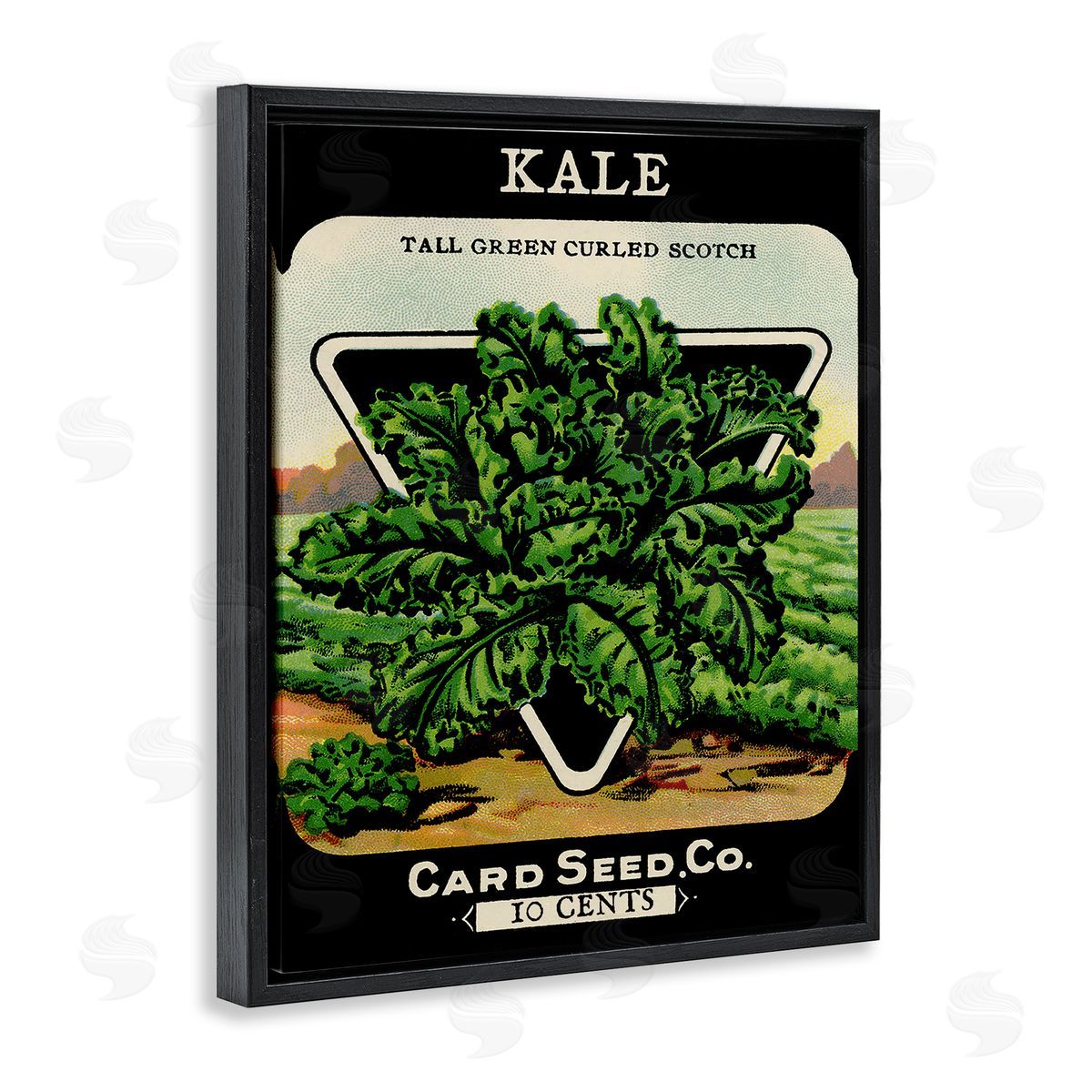 Vintage Garden Kale Black Floating Frame Canvas Wall Art, Home Decor by Stupell Studio