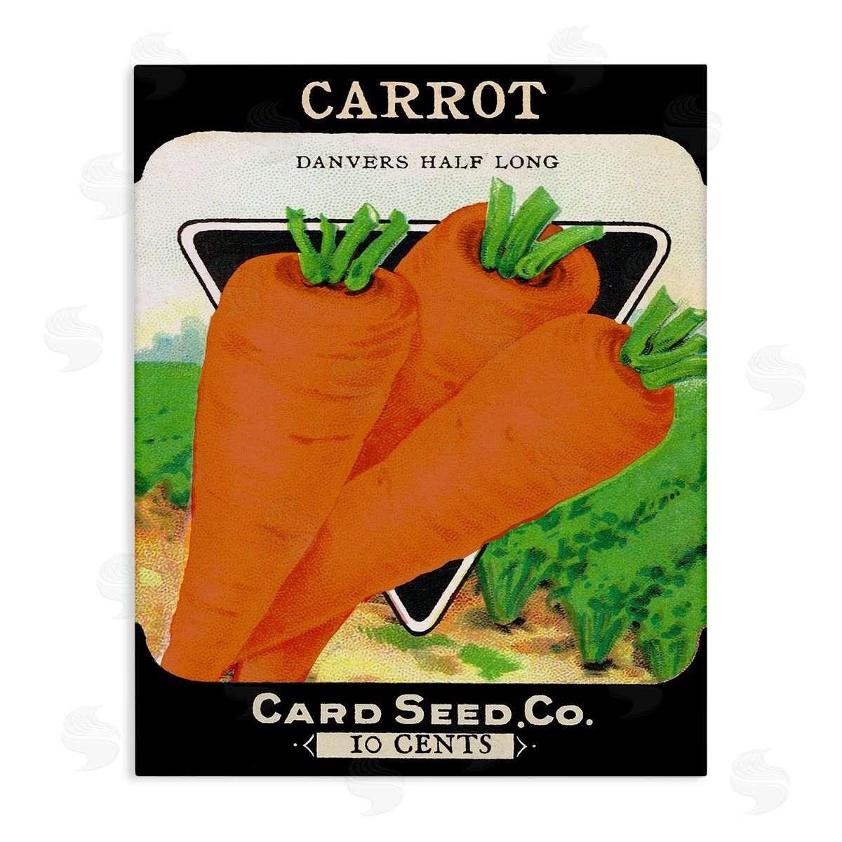 Vintage Garden Carrots Canvas Wall Art, Home Decor by Stupell Studio