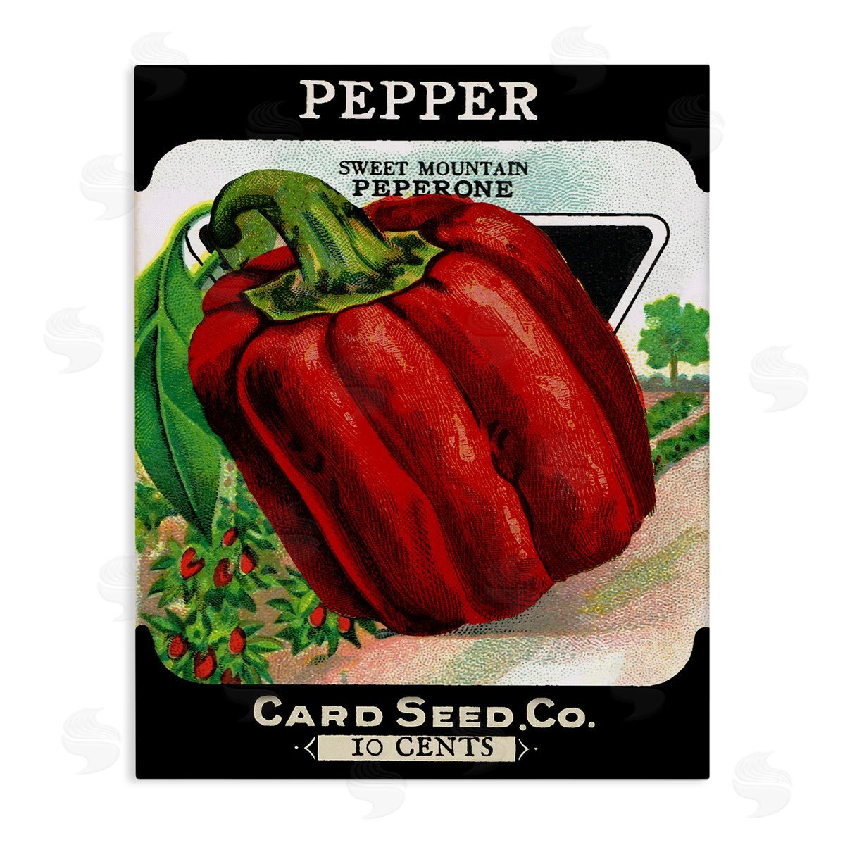 Vintage Garden Peppers Canvas Wall Art, Home Decor by Stupell Studio