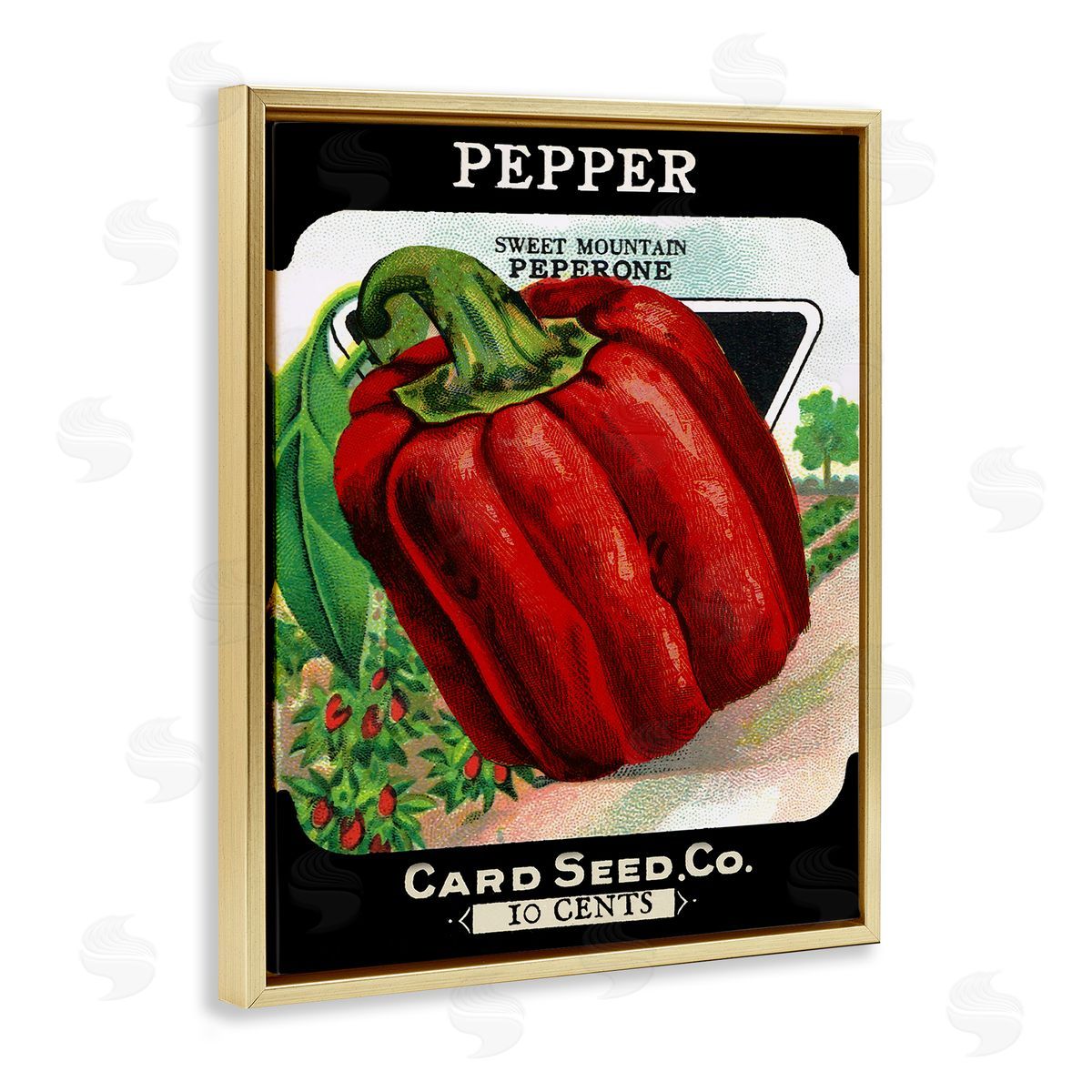 Vintage Garden Peppers Gold Floating Frame Canvas Wall Art, Home Decor by Stupell Studio