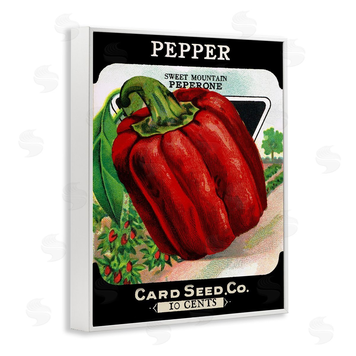 Vintage Garden Peppers White Frame Print Wall Art, Home Decor by Stupell Studio