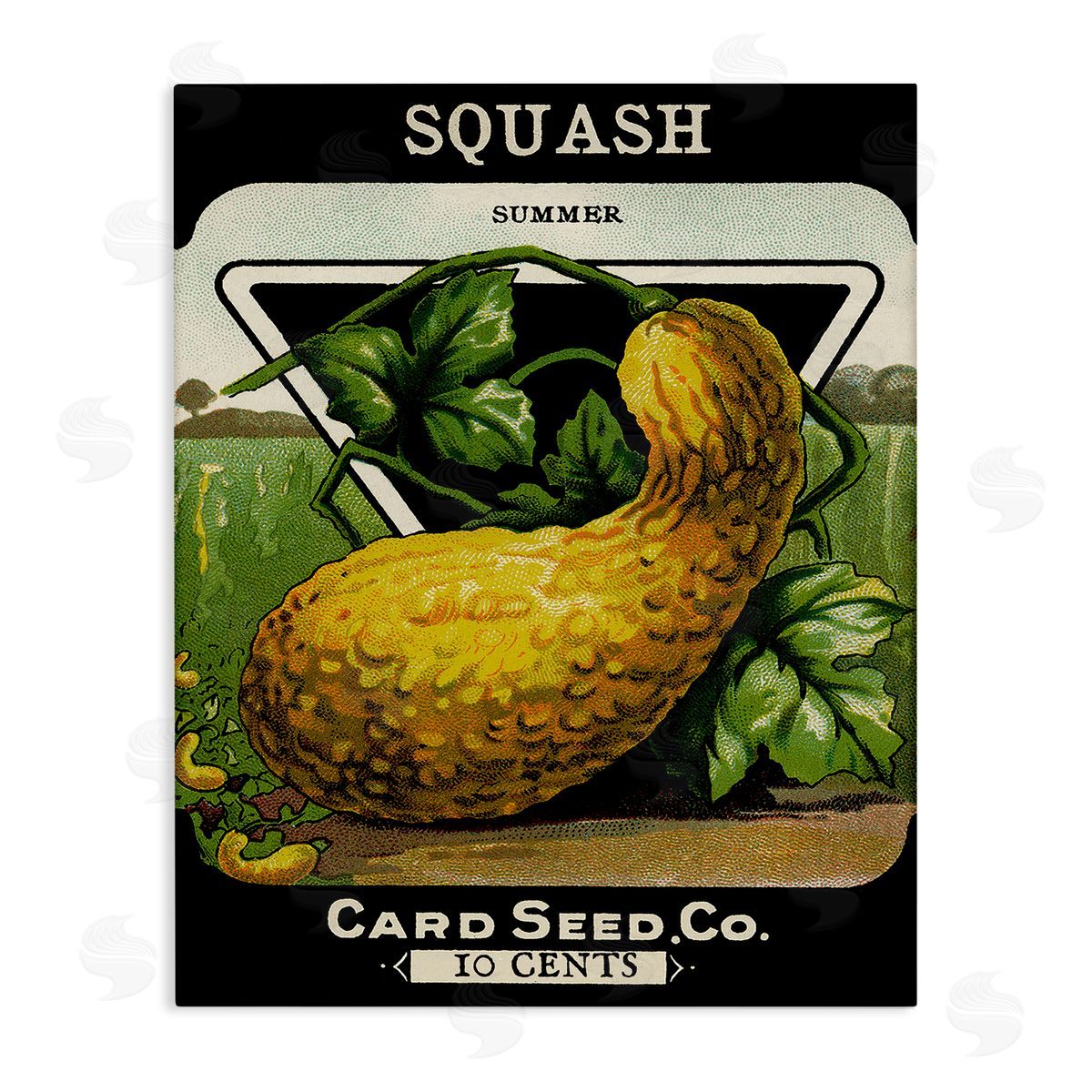 Vintage Garden Squash Canvas Wall Art, Home Decor by Stupell Studio