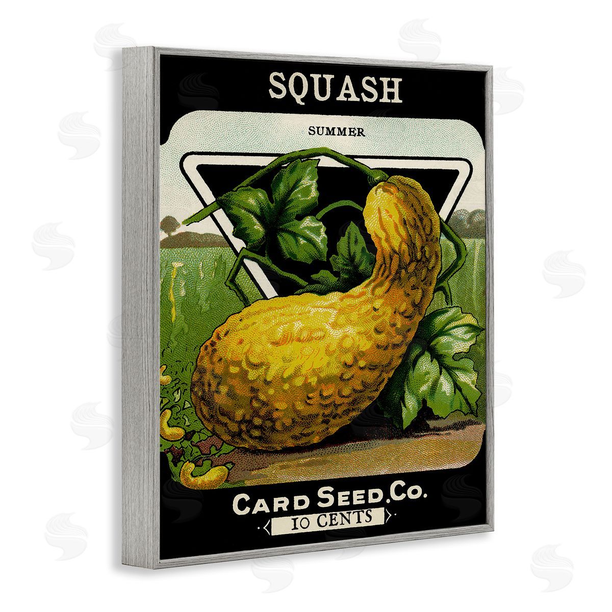Vintage Garden Squash Grey Frame Print Wall Art, Home Decor by Stupell Studio