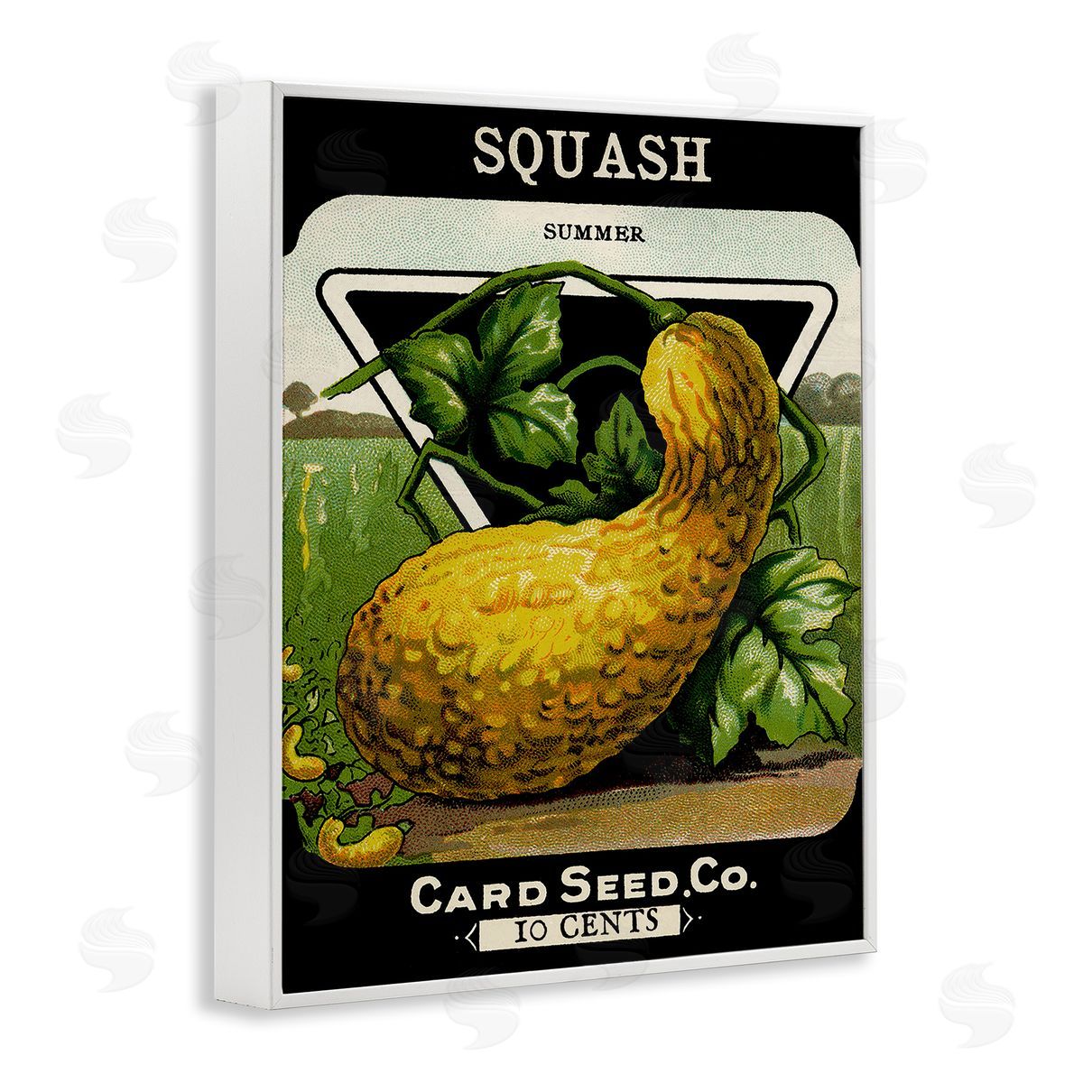 Vintage Garden Squash White Frame Print Wall Art, Home Decor by Stupell Studio