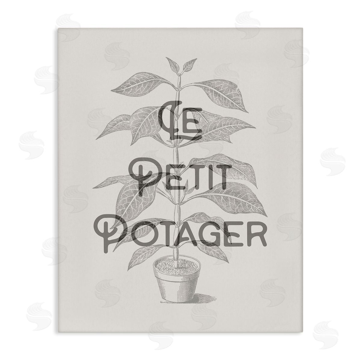 Vintage French Plant Phrase Canvas Wall Art, Home Decor by Stupell Studio