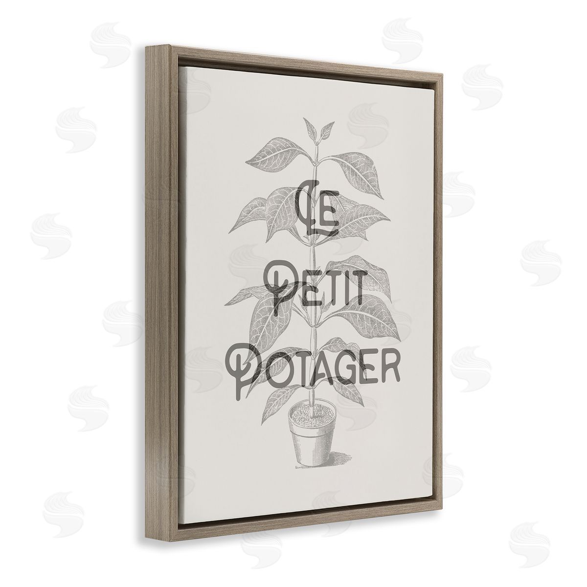Vintage French Plant Phrase Brown Floating Frame Canvas Wall Art, Home Decor by Stupell Studio