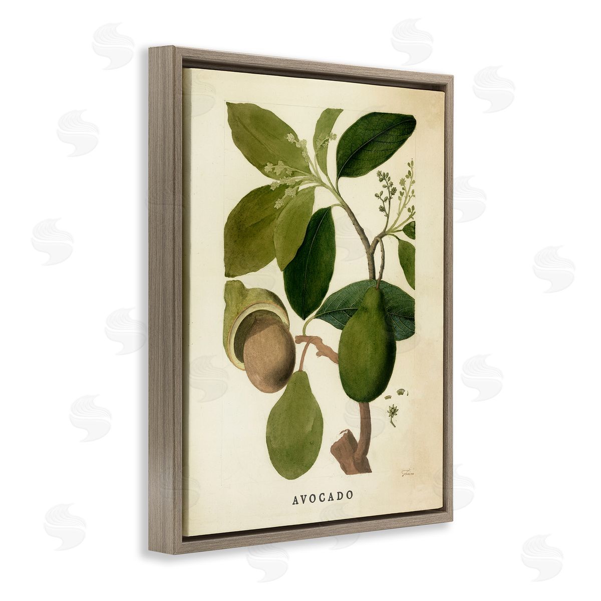 Vintage Avocado Plant Brown Floating Frame Canvas Wall Art, Home Decor by Stupell Studio