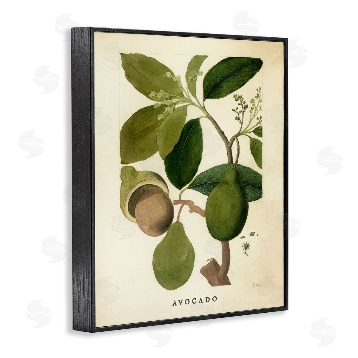 Vintage Avocado Plant Black Frame Print Wall Art, Home Decor by Stupell Studio