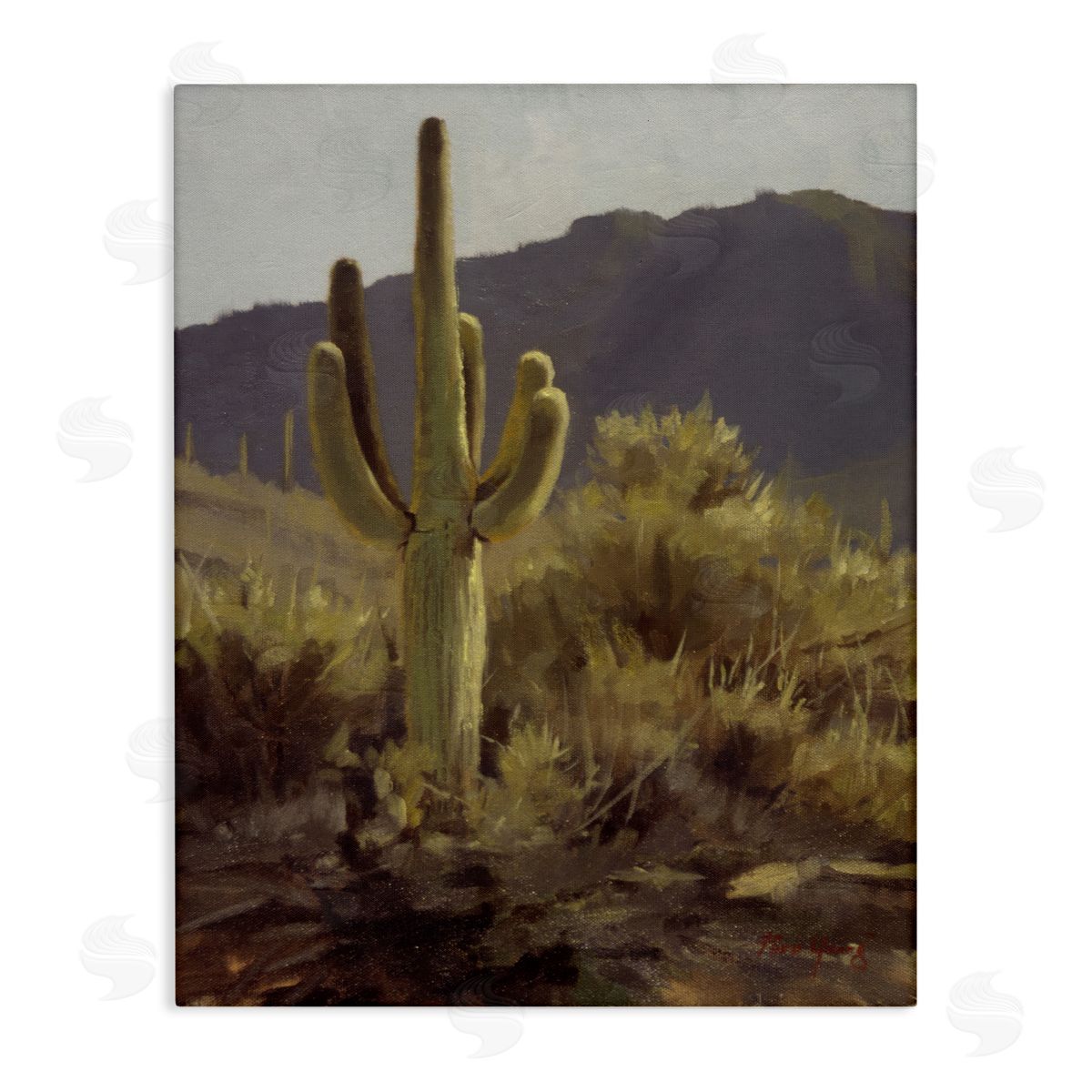 Bold Cactus Mountain Overlook Canvas Wall Art, Home Decor by Paco Young
