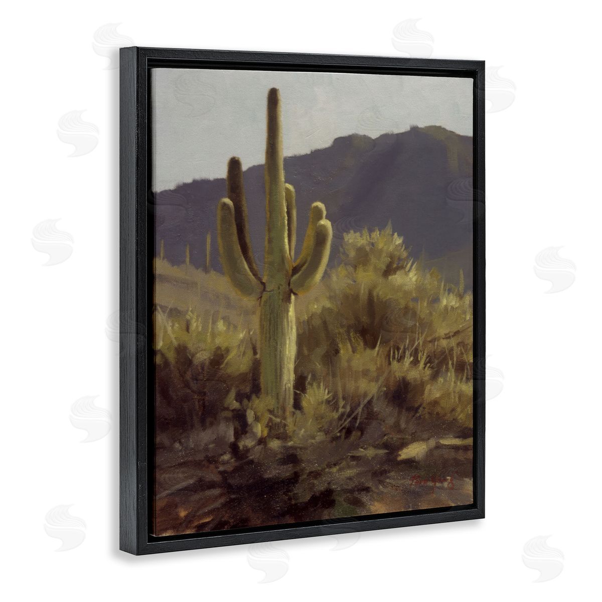 Bold Cactus Mountain Overlook Black Floating Frame Canvas Wall Art, Home Decor by Paco Young