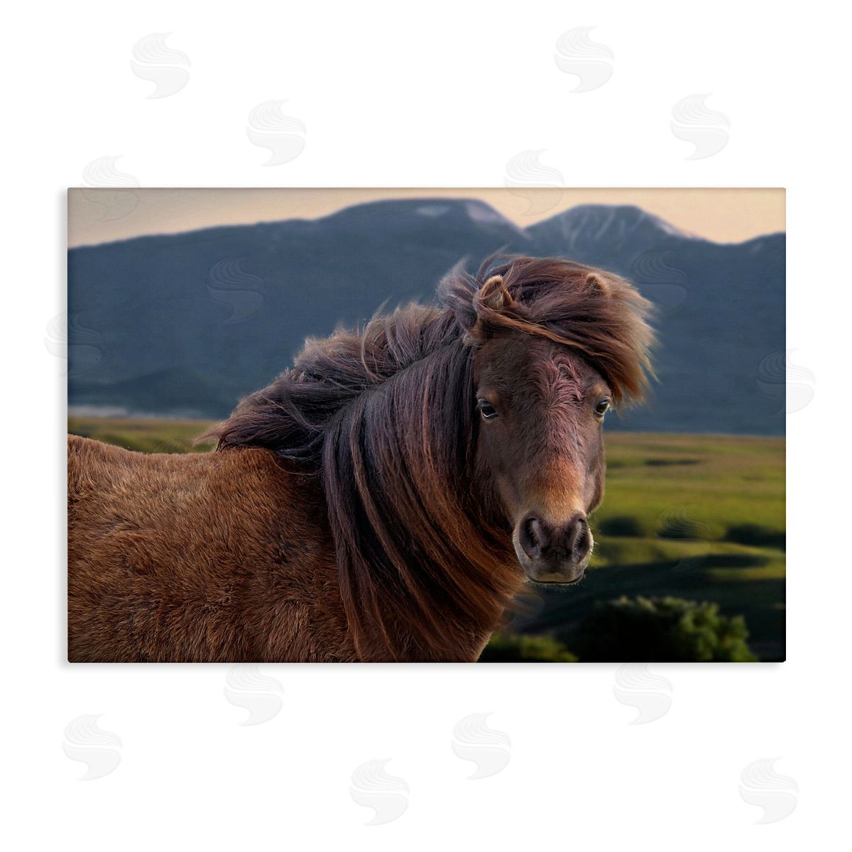 Windblown Mare in Mountain Valley Canvas Wall Art, Home Decor by Steve Toole