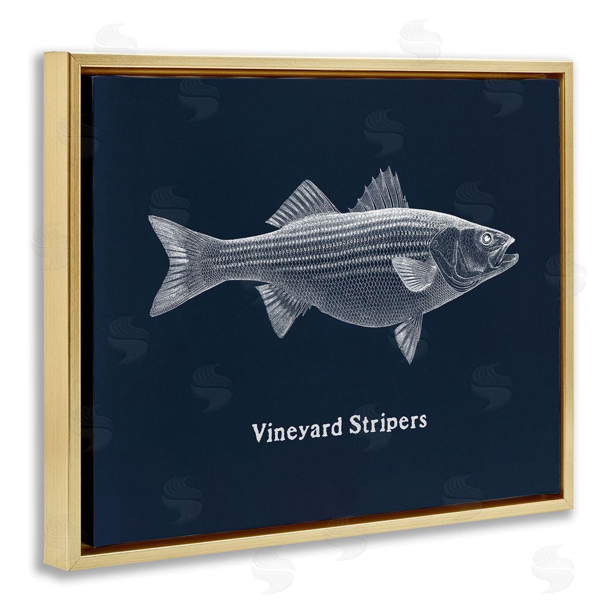 Vineyard Stripers Fish Gold Floating Frame Canvas Wall Art, Home Decor by Phillipa Katz