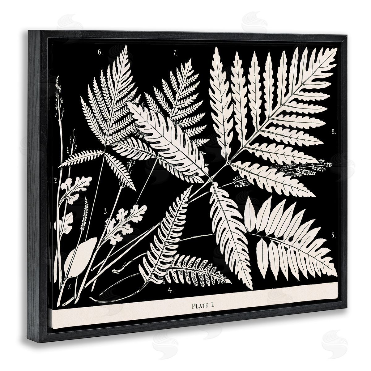 Overlapping Ferns on Black Black Floating Frame Canvas Wall Art, Home Decor by Phillipa Katz