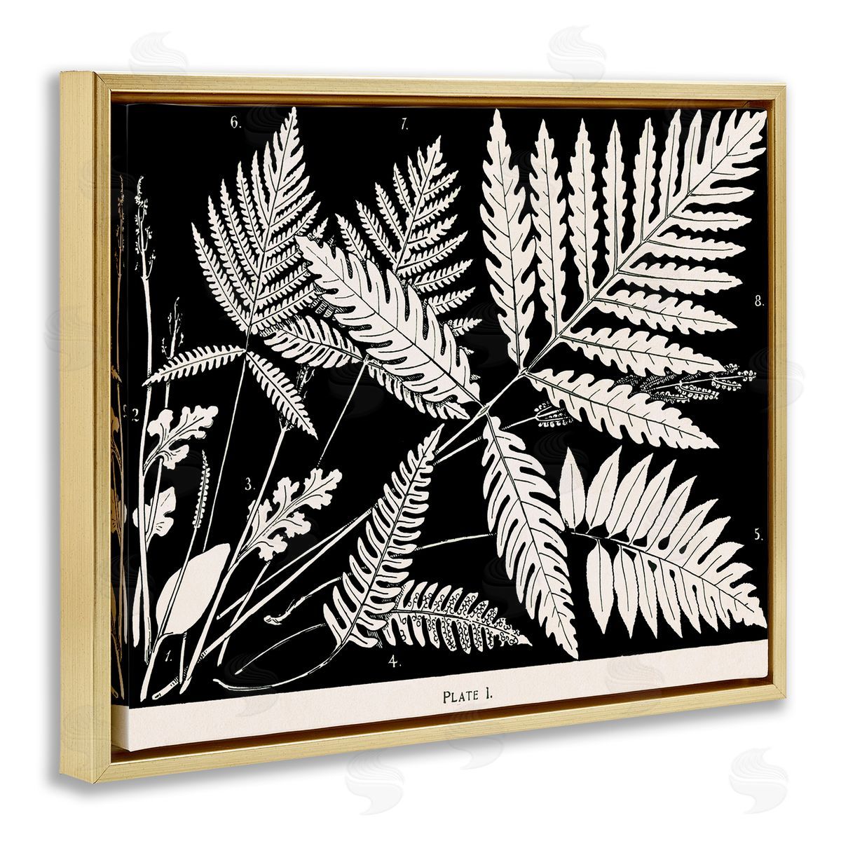 Overlapping Ferns on Black Gold Floating Frame Canvas Wall Art, Home Decor by Phillipa Katz