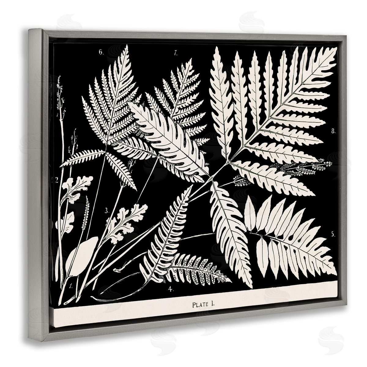 Overlapping Ferns on Black Grey Floating Frame Canvas Wall Art, Home Decor by Phillipa Katz