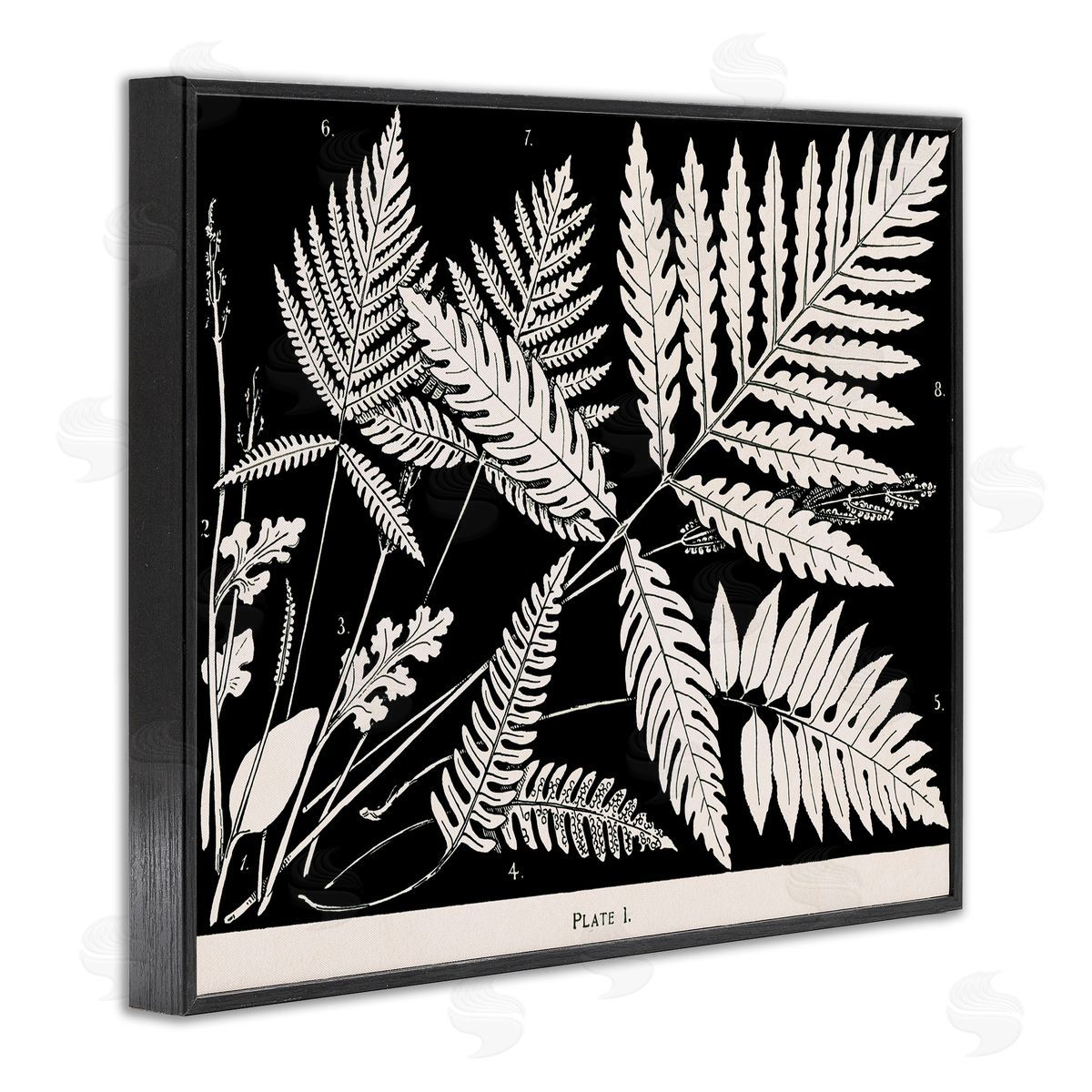 Overlapping Ferns on Black Black Frame Print Wall Art, Home Decor by Phillipa Katz