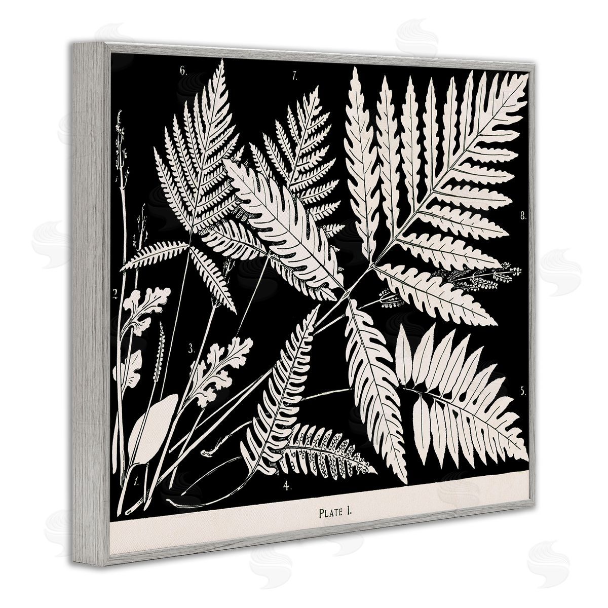 Overlapping Ferns on Black Grey Frame Print Wall Art, Home Decor by Phillipa Katz