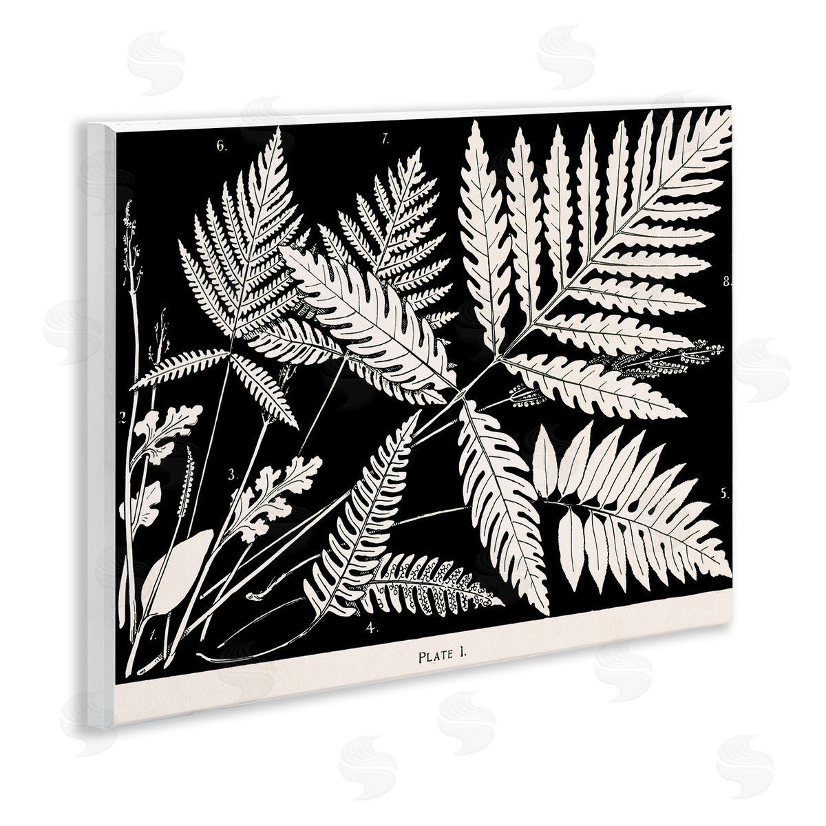 Overlapping Ferns on Black Wood Plaque Wall Art, Home Decor by Phillipa Katz