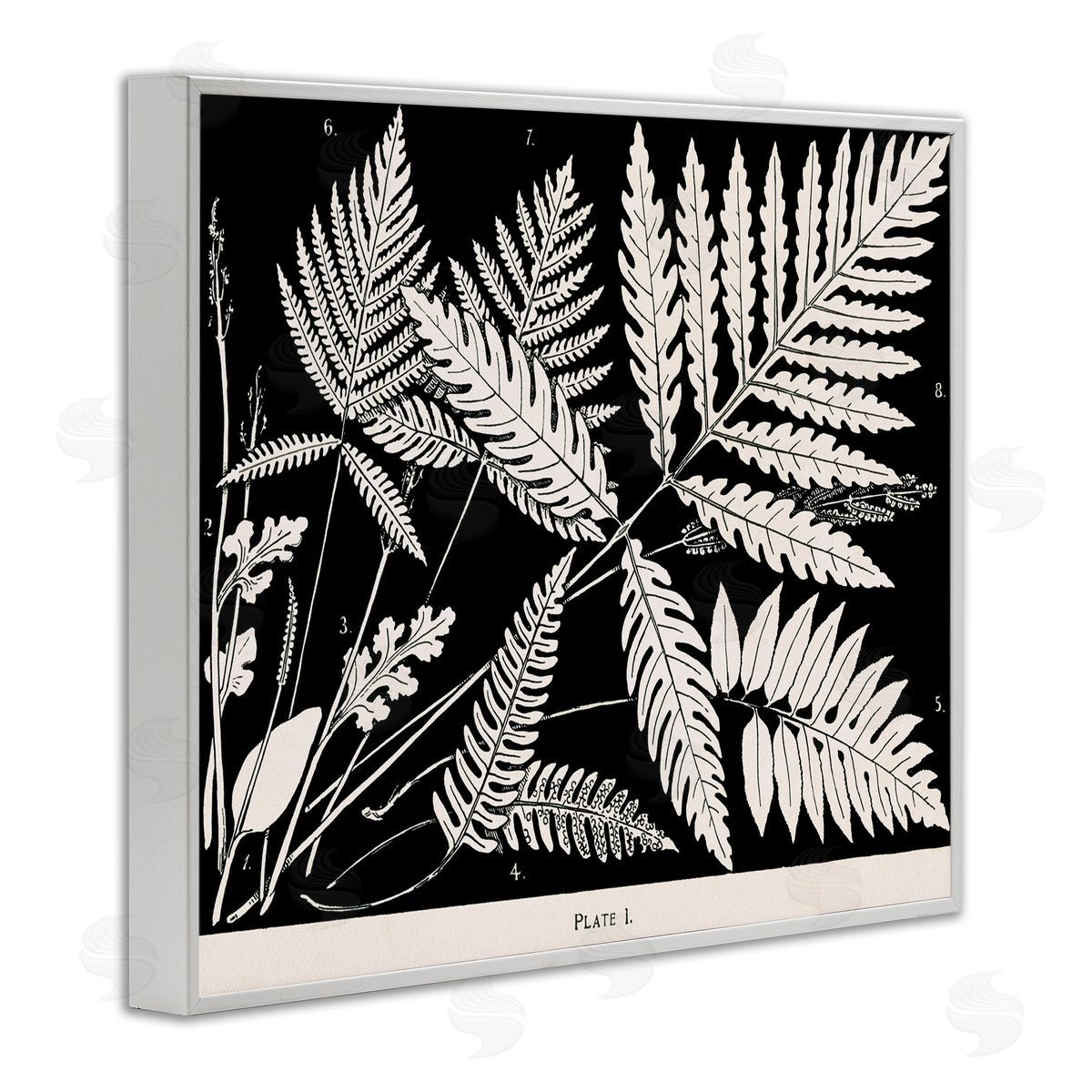 Overlapping Ferns on Black White Frame Print Wall Art, Home Decor by Phillipa Katz