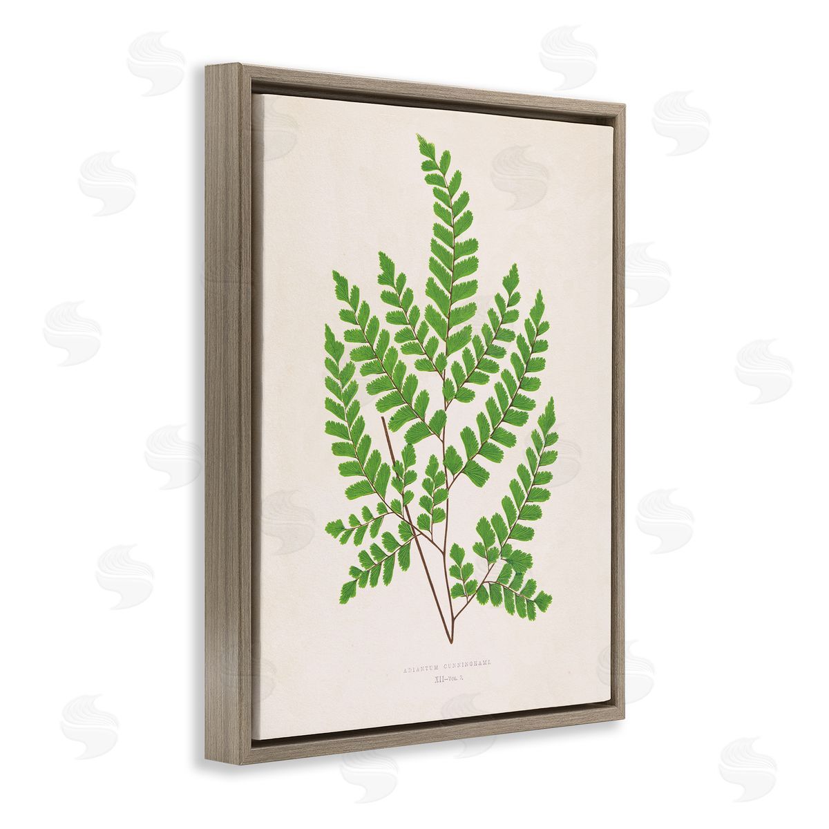 Woodland Sprigs Study Brown Floating Frame Canvas Wall Art, Home Decor by Phillipa Katz