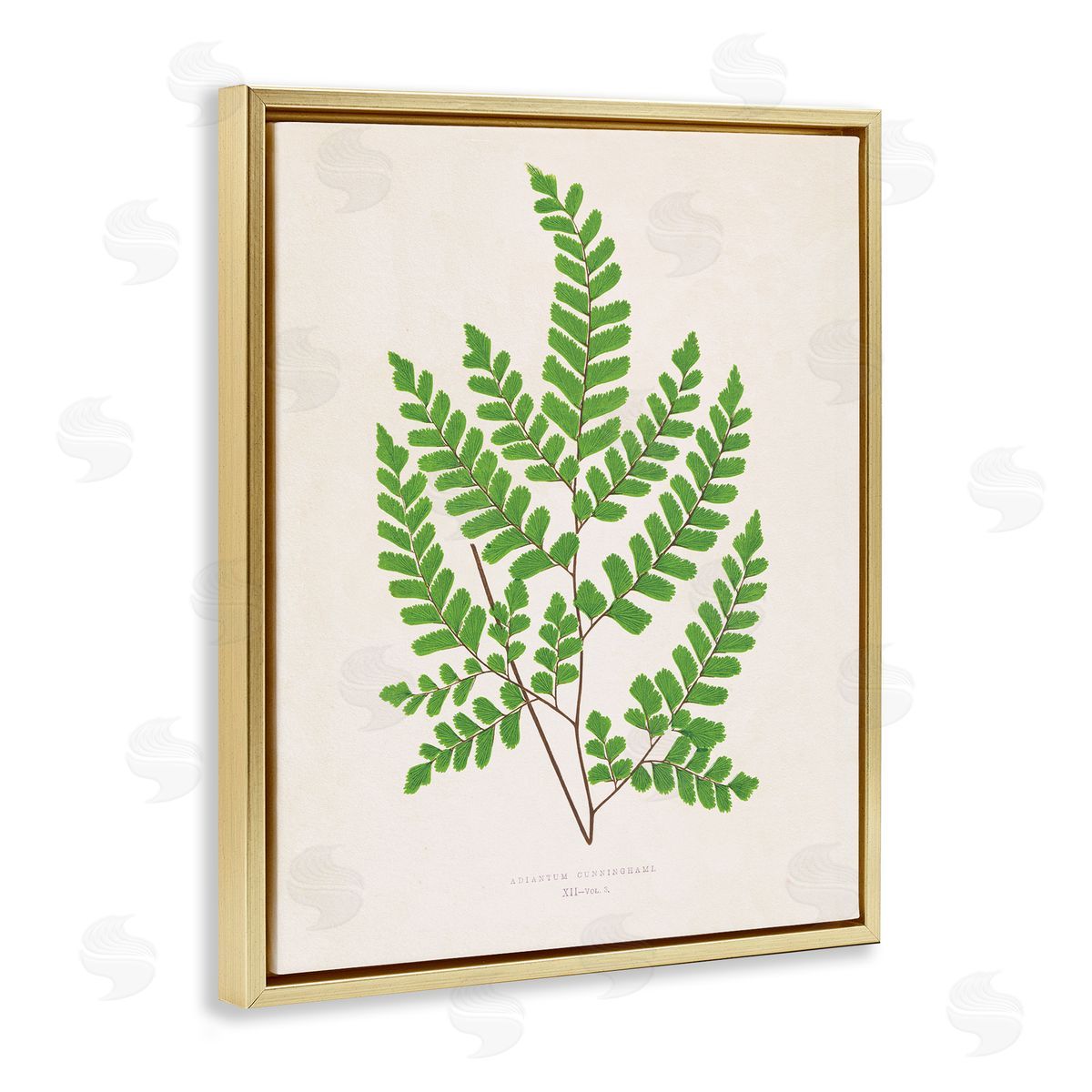 Woodland Sprigs Study Gold Floating Frame Canvas Wall Art, Home Decor by Phillipa Katz