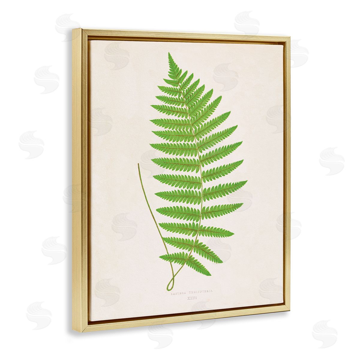 Single Fern Branch Gold Floating Frame Canvas Wall Art, Home Decor by Phillipa Katz