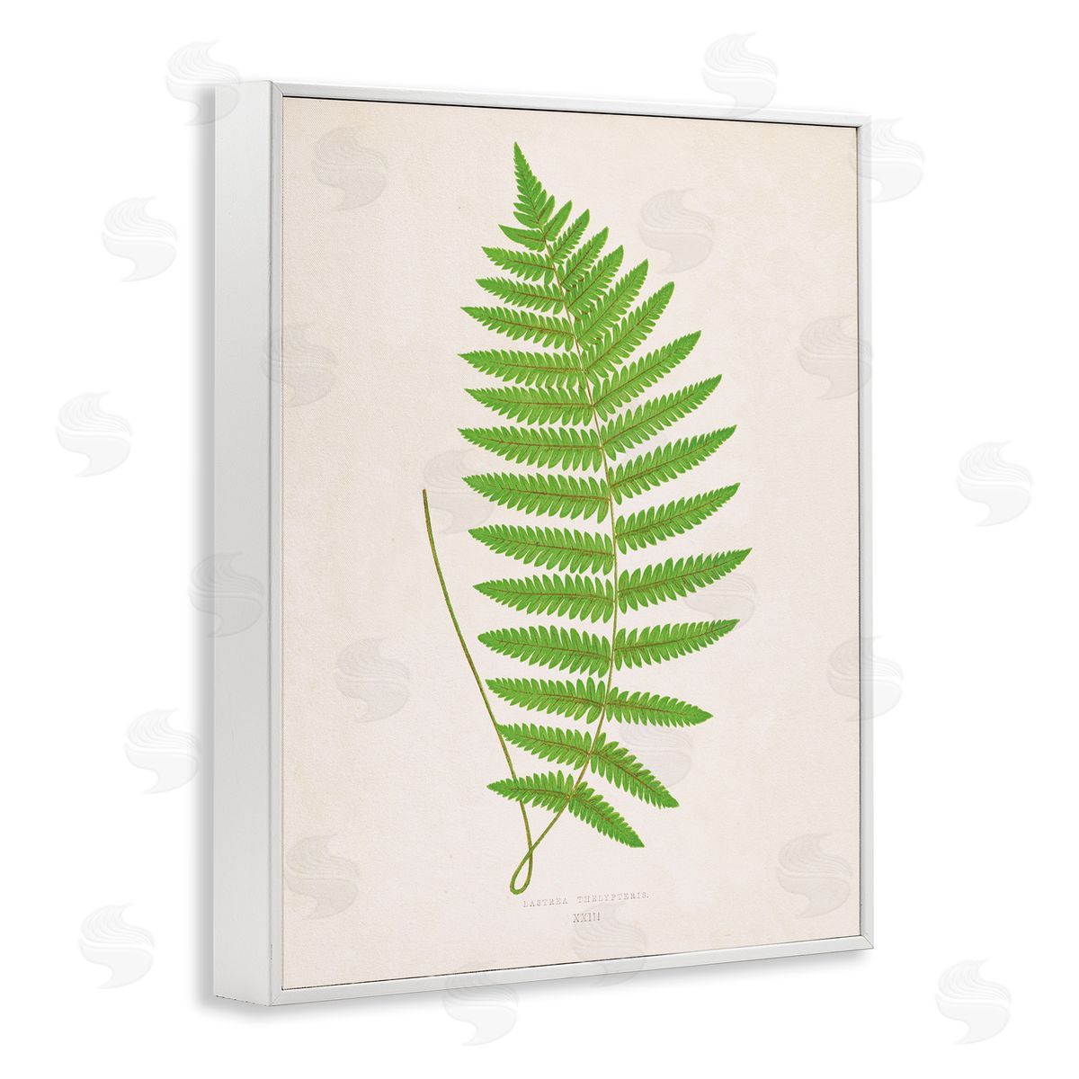 Single Fern Branch White Frame Print Wall Art, Home Decor by Phillipa Katz