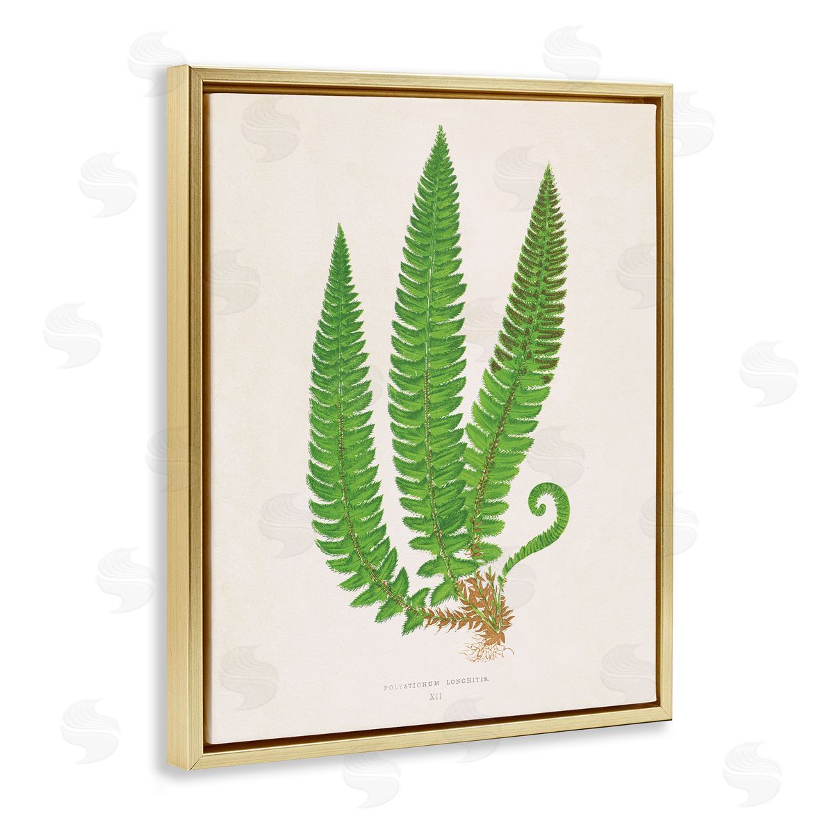 Natural Fern Branch Trio Gold Floating Frame Canvas Wall Art, Home Decor by Phillipa Katz