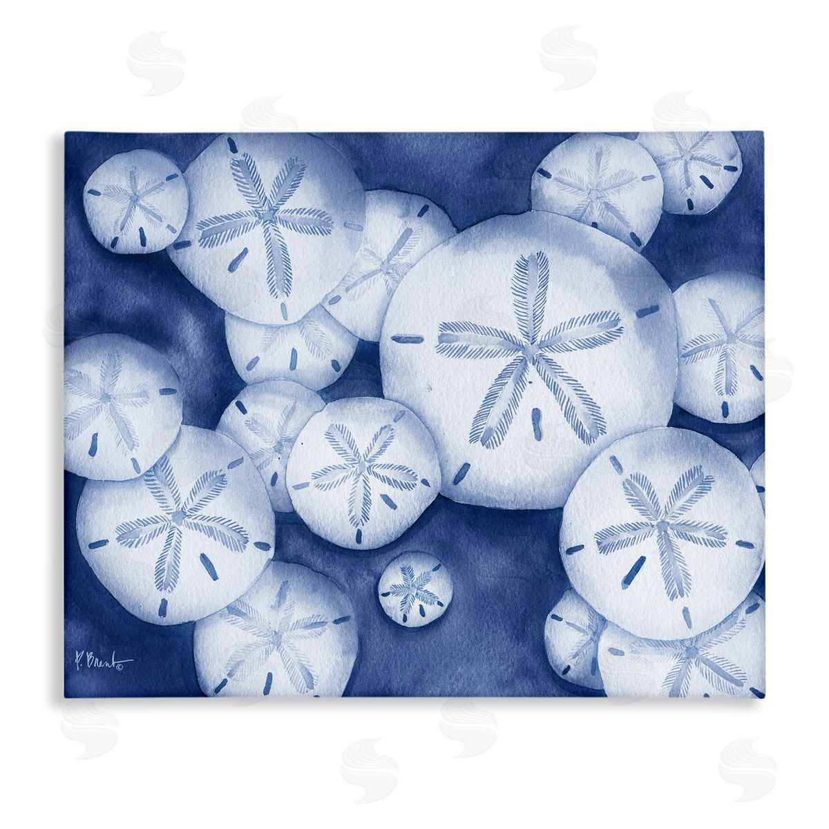 Watercolor Style Sand Dollars Canvas Wall Art, Home Decor by Paul Brent