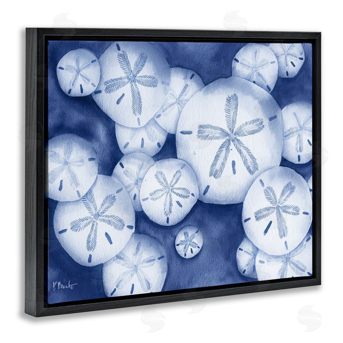 Watercolor Style Sand Dollars Black Floating Frame Canvas Wall Art, Home Decor by Paul Brent
