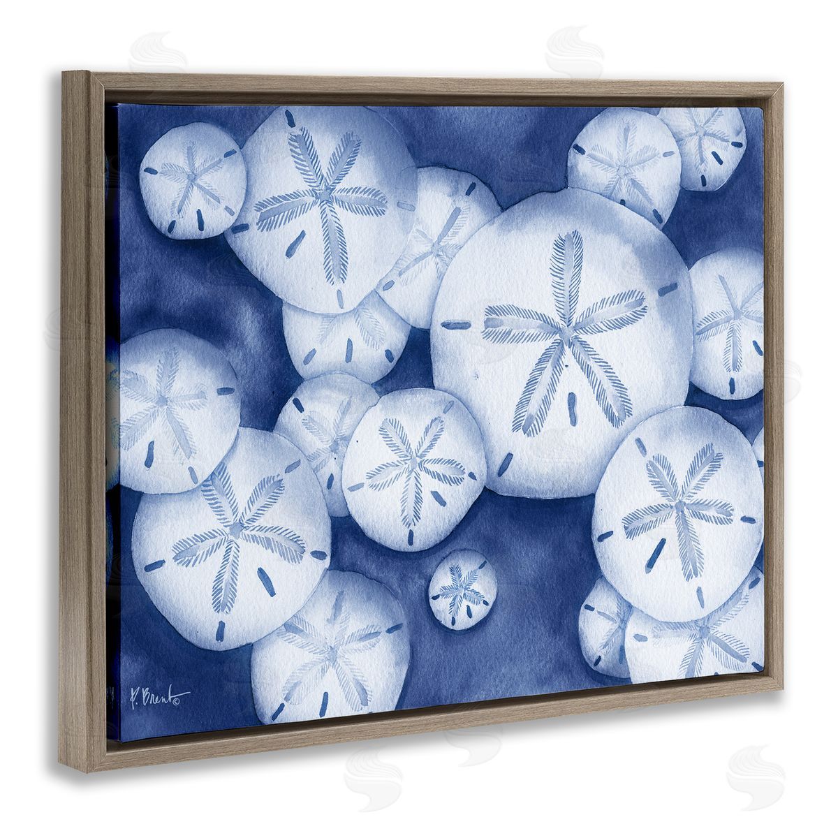 Watercolor Style Sand Dollars Brown Floating Frame Canvas Wall Art, Home Decor by Paul Brent